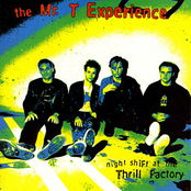 Now We Are Twenty-one by The Mr. T Experience