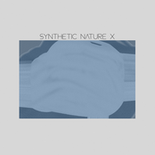 Synthetic Nature X