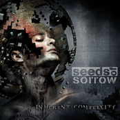 Inherent Complexity