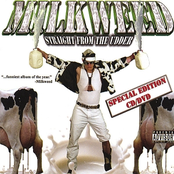 Milkweed: Straight From The Udder