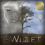 We Survive by Willet