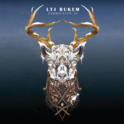 FABRICLIVE.46: LTJ Bukem