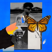 Butterflies - Single