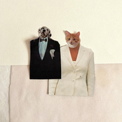 Runo Plum: yin to yang