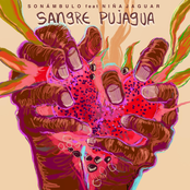 Sangre Pujagua