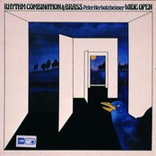 Blue Dervish by Peter Herbolzheimer Rhythm Combination & Brass