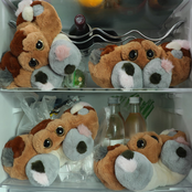 If we can be happy happy every day, who wants to be sad: *