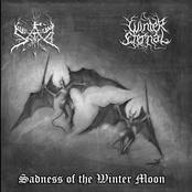 Sadness Of The Winter Moon