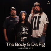 Audiotree Live