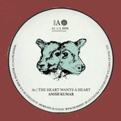 The Heart Wants A Heart