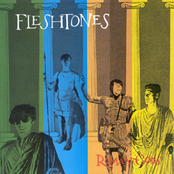 Hope Come Back by The Fleshtones