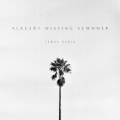 Already Missing Summer