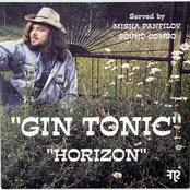 Gin Tonic