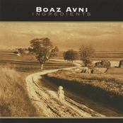 boaz avni