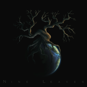 Full Moon by Nine Leaves