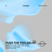 Push The Feeling EP