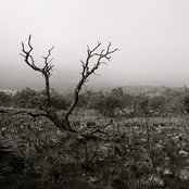 The Destruction of Earth