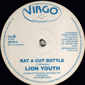 Rat a cut bottle