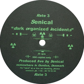 Dark Organized Incidents