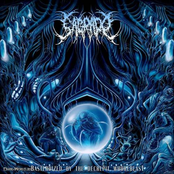 Bastardized By The Decrepit Whorebeast