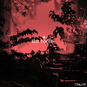 The Room