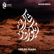 Veiled Tears