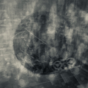 devil in the details