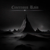 Cinereous Rain II