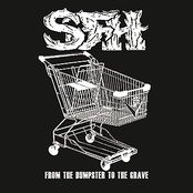 Dumpster To The Grave by Star Fucking Hipsters