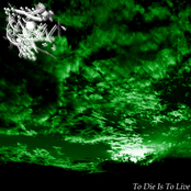 To Die Is To Live