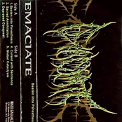 Beaten Into Paresthesia (EP)