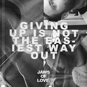 Jaws of Love.: Giving Up Is Not The Easiest Way Out