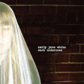 Emily White: Dark Undercoat (Bonus Track Version)