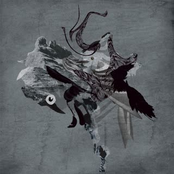 The truth is not outthere