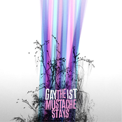 Gaytheist: The Mustache Stays (LP retail version)