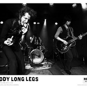 daddy long legs