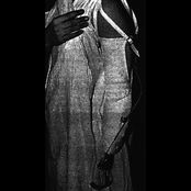 Continuous Wound Support