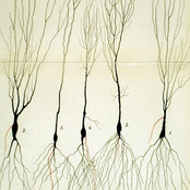 Your Transgressions Pt. 2