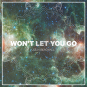 Won't Let You Go - Single