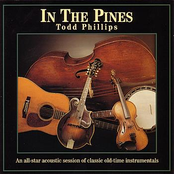 In The Pines by Todd Phillips