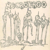 Brutal Mutilation - demo '88