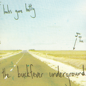 Limbs Gone Batty (or The Role Of The Anterior-Posterior Pattering Signal, Sonic Hedgehog, In The Development Of The Unique Bat Limb) (Limbs Gone Batty...)