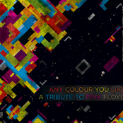 Any Colour You Like - A Tribute To Pink Floyd From Iran