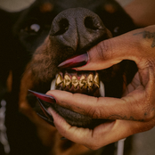 Leon Thomas: MUTT Deluxe: HEEL