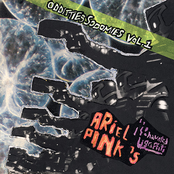 L'estat by Ariel Pink's Haunted Graffiti