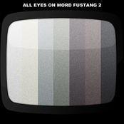 Taito by Mord Fustang