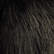 Cut and Run/Second-hand Shame