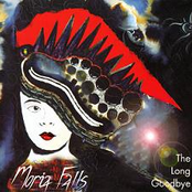 The Long Goodbye by Moria Falls