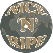 More Dub Essentials, Pt. 2 - EP