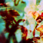 An Ode to Spacemen 3